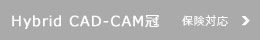 Hybrid CAD-CAM冠　保険対応